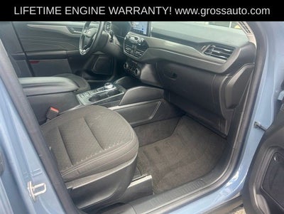 2024 Ford Escape Active