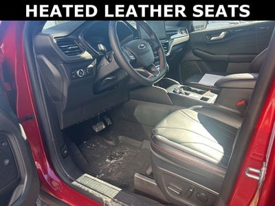 2025 Ford Escape ST-Line Elite