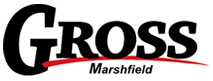 Gross Auto Group in WI
